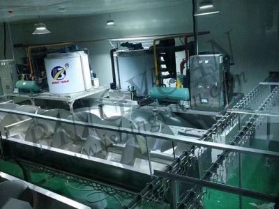 新疆和田禽類屠宰片冰機(jī)